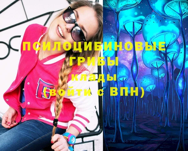 прущий лед Алзамай