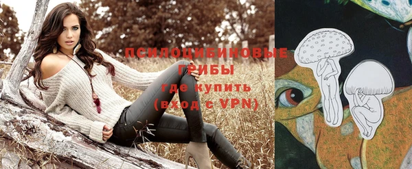 прущий лед Алзамай
