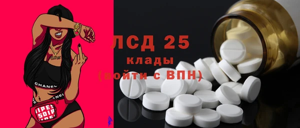 прущий лед Алзамай