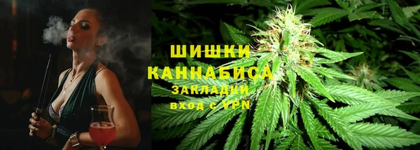 ГАЛЛЮЦИНОГЕННЫЕ ГРИБЫ Алексин
