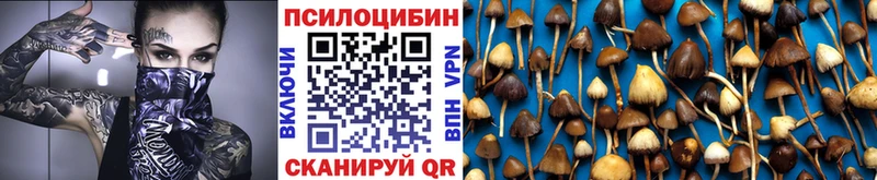Галлюциногенные грибы GOLDEN TEACHER  Инсар 